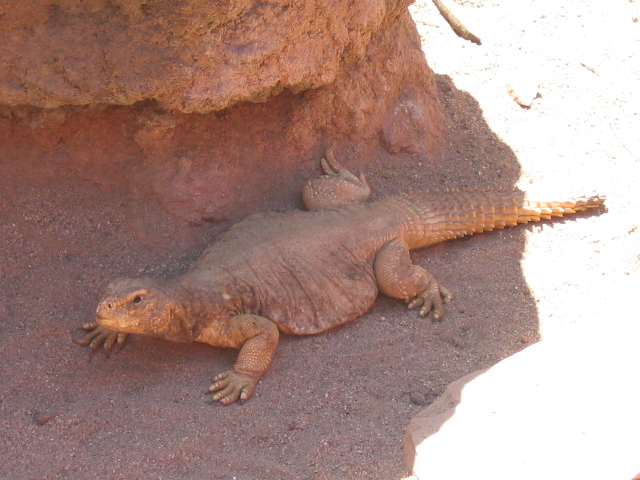 618x457 pixels (177K)